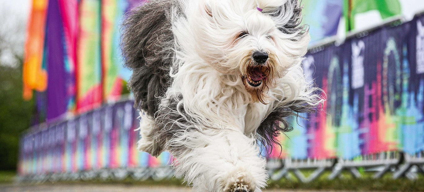 changing lives with colours