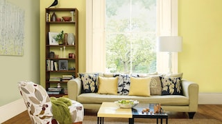 Colour Know-How: Light & Dark Green Wall Ideas