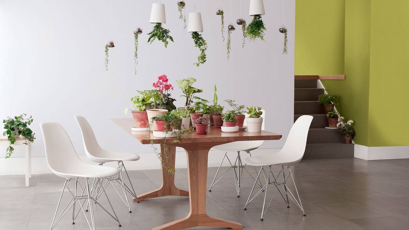 Bring some zing to your home with a rejuvenating splash of lime green.