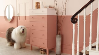 Dr Dulux: How To Get Your Home Guest-ready