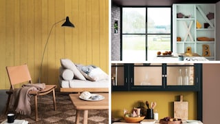 Dulux’s Colour of the Year 2016 is Revealed