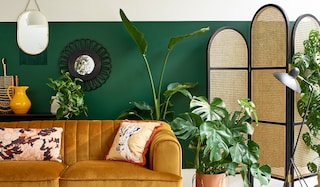 Evergreen Interior Design Ideas | Nine Decades of Green