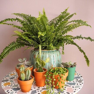 How to create a terrazzo inspired paint effect