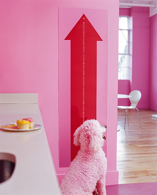 Dulux anniversary 90th anniversary bright pinks