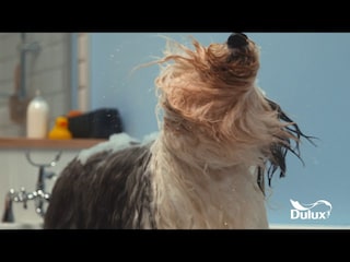 New Dulux Easycare Bathroom