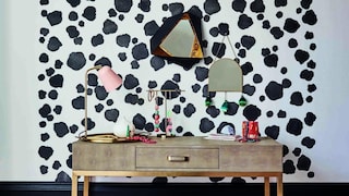 Paint by numbers: go dotty with a dalmatian wall