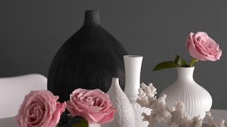 Team dramatic accents with delicate shades