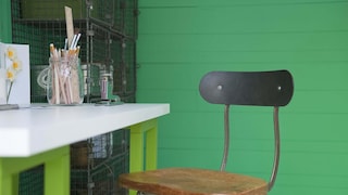 Team vivid green with bright lime