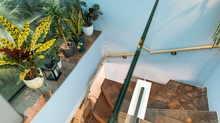 Colour of the Year 2022 Ambassador | Wellbeing Tips from Dr Alex George 