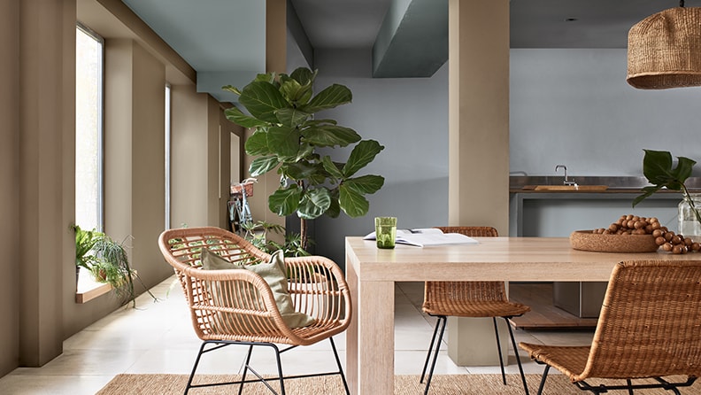 earth palette kitchen