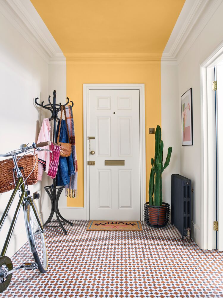 Modern Hallway Ideas