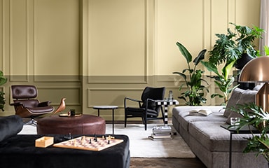 Split wall in lvingroom combining in two tones of green and greenery