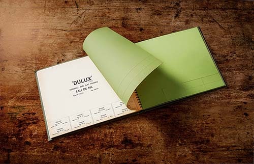 Dulux Dog 60th Birthday