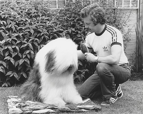 Dulux Dog 60th Birthday