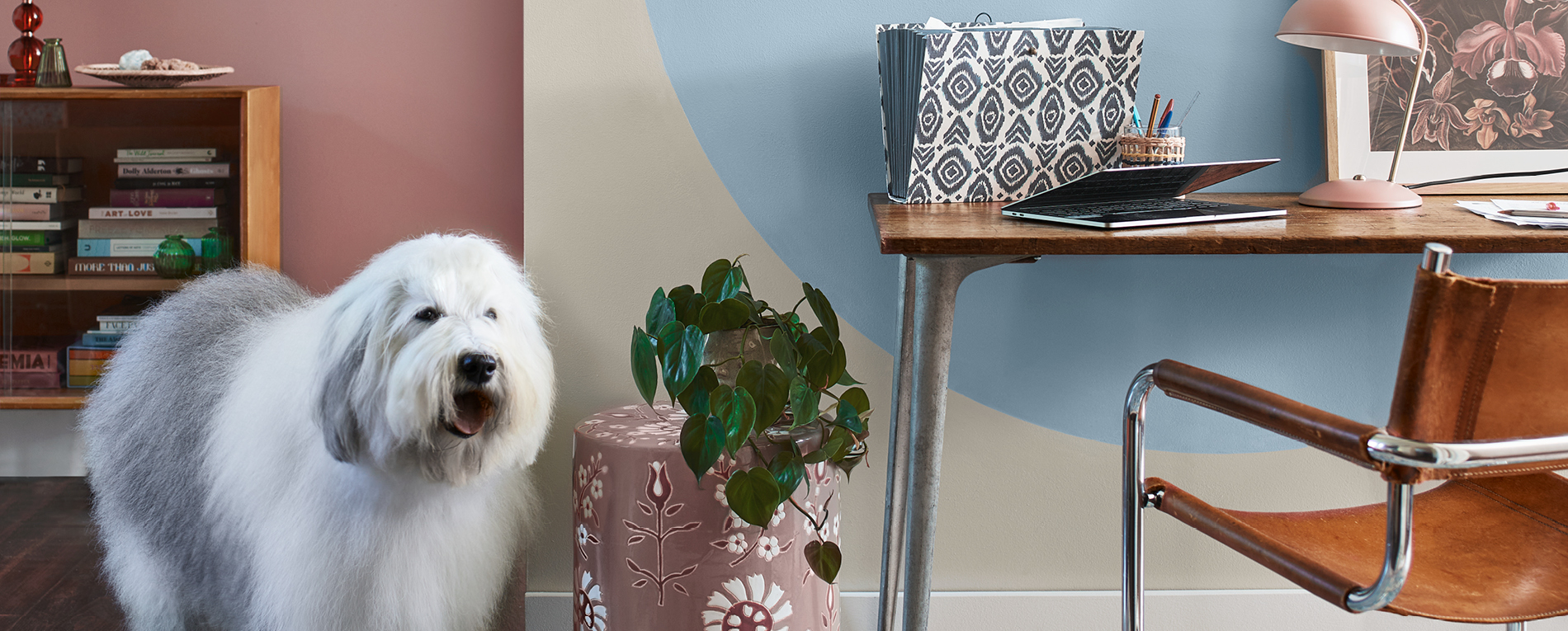 Create With Colour Your Wilko Paint Colour Chart 2022 Wilko Site atelieryuwa.ciao.jp