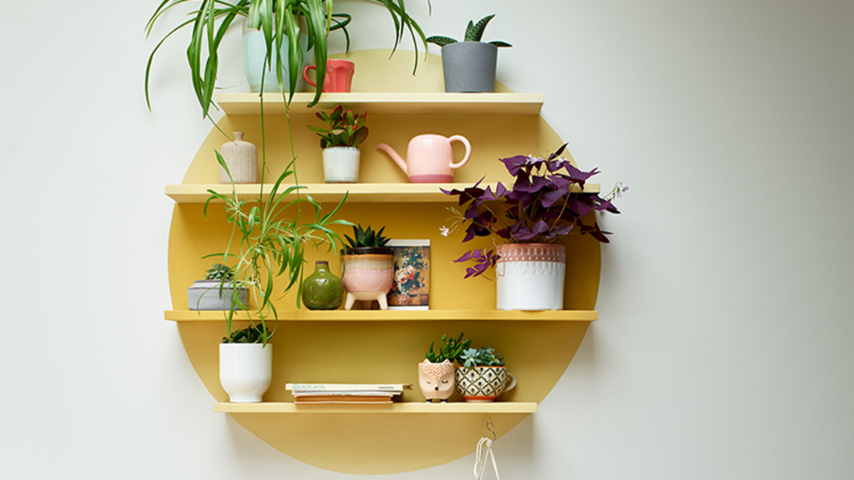 Dr Dulux How To Paint A Wall With Just One Coat Dulux