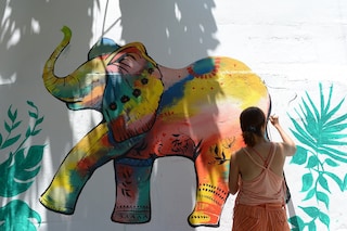 Bảo vệ động vật hoang dã bằng những sắc màu