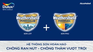 Chống rạn nứt và thấm ẩm: chỉ sơn phủ đã đủ ?