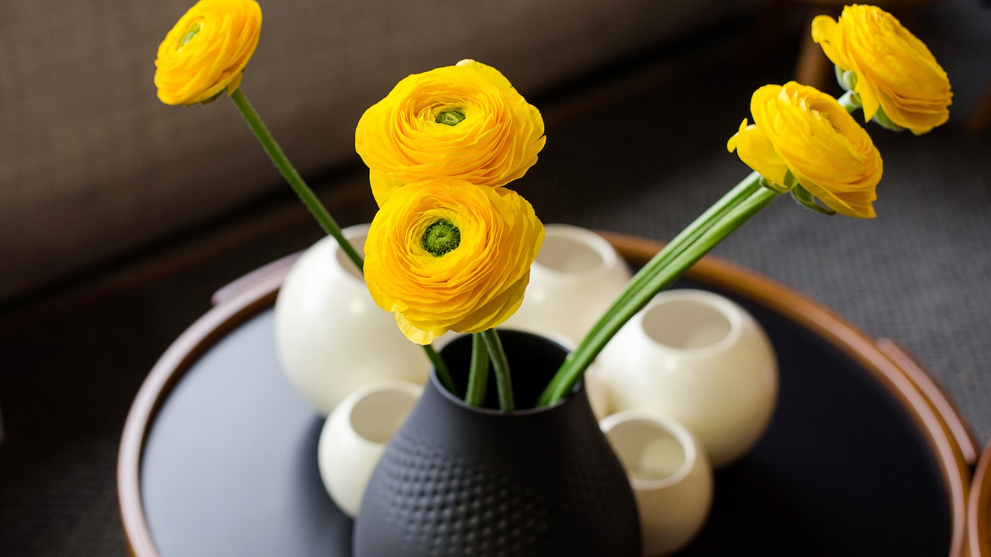 Giữ Cho Hoa Được Tươi 