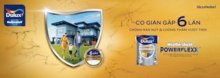 Tường nhà bạn bị nứt và bị thấm nghiêm trọng?