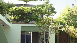 Ốc đảo nhiệt đới