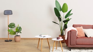 Làm thế nào để chuyển đổi màu sắc từ tối sang sáng trên các bức tường của bạn