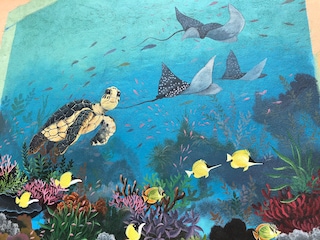 Sắc màu truyền cảm hứng bảo tồn đảo Lý Sơn