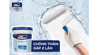 Thấm Tường – Chủ Quan Lúc Đầu - Hệ Lụy Dài Lâu