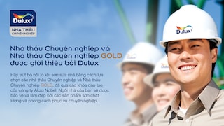 Bạn đang tìm Nhà thầu sơn Chuyên Nghiệp?