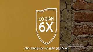 Trang bị "áo giáp" tối ưu cho ngôi nhà bền đẹp dài lâu
