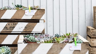 Ý tưởng trang trí cho không gian bên ngoài khu nhà bạn