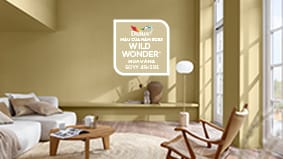 Màu Dulux của Năm 2023