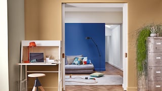 Create a vibrant home using Dulux Colour of the Year 2019.