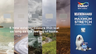 Dulux Weatherguard Fine Textured with MaxiFlex Technology