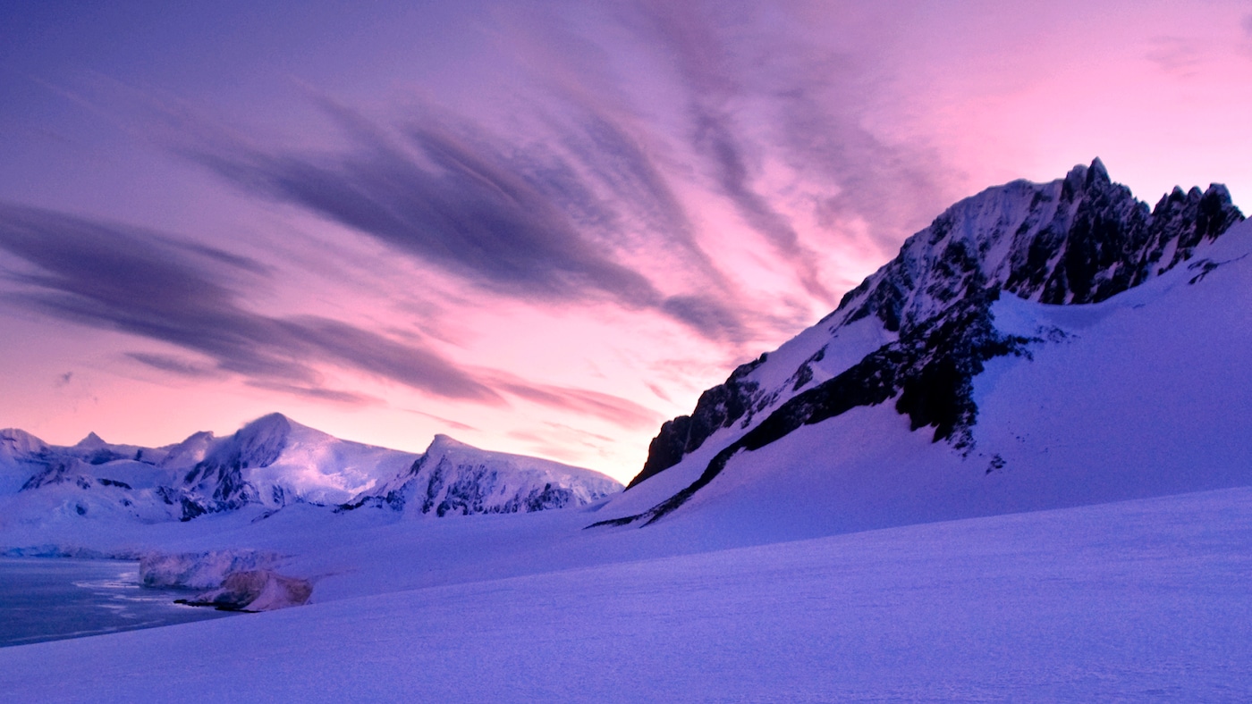 Beautiful violet sky.