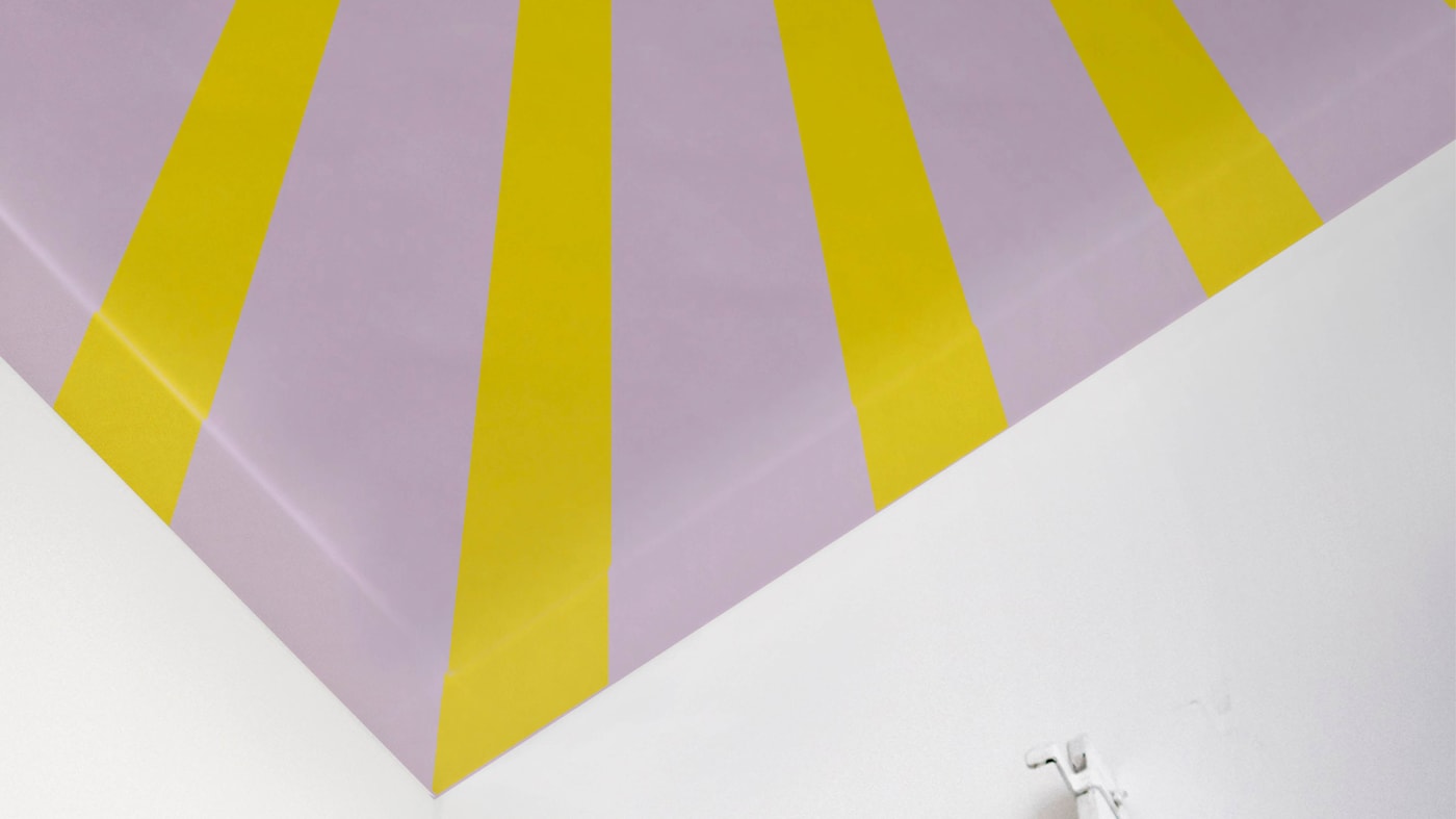 Babies spend a great deal of their time staring up at the ceiling before they learn to roll and crawl, so why not give them something interesting to look at?