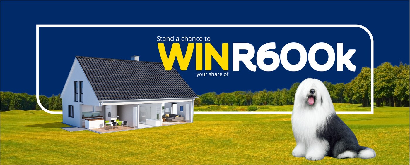 Dulux Win R600k Header