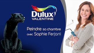 Comment peindre une chambre avec Sophie Ferjani ?