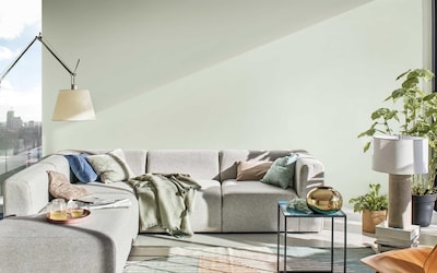 SALON MUR DOUCEUR DE L'AUBE