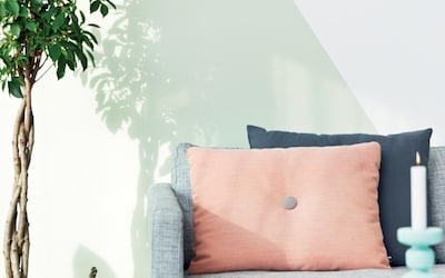 SALON MUR TENDREMENT VERT