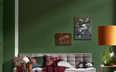 SALON MUR VERT TROPICAL