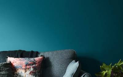 SALON MUR PETROLE INTENSE