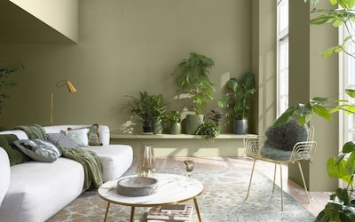 SALON MUR VERT ORPIN