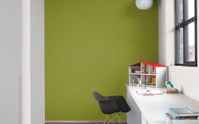 SALON MUR AIGUILLES DE PIN