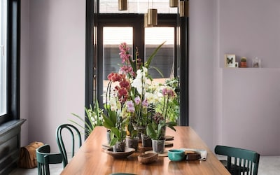 SALON A MANGER MUR GLYCINE