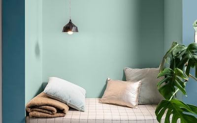 SALON MUR MENTHE FRAPPEE