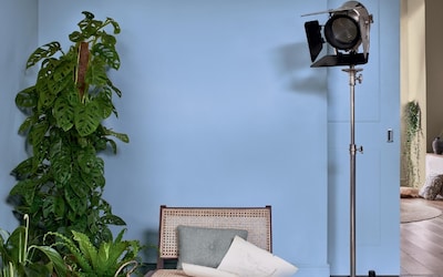 SALON MUR BLEU VINTAGE