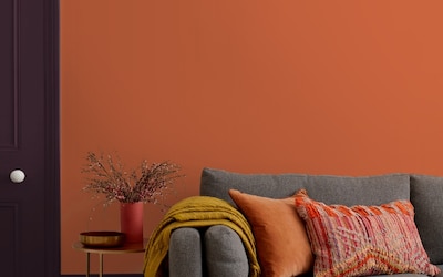 SALON MUR AUBURN SAUVAGE