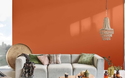 SALON MUR TERRE CUITE