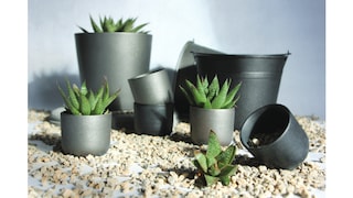 5 effets d’Aérosols Color Touch très spéciaux pour créer la surprise